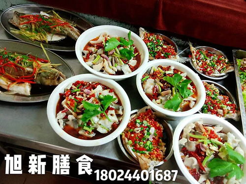 惠州企业食堂承包公司,经济营养美味,选择旭新膳食服务至上