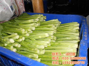 蔬菜农副产品配送 天美和 珠江渔业联社农副产品配送