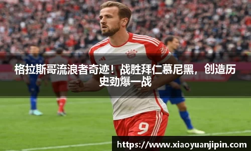 BB贝博