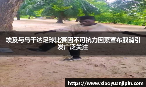 埃及与乌干达足球比赛因不可抗力因素宣布取消引发广泛关注