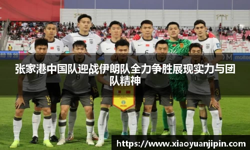 张家港中国队迎战伊朗队全力争胜展现实力与团队精神