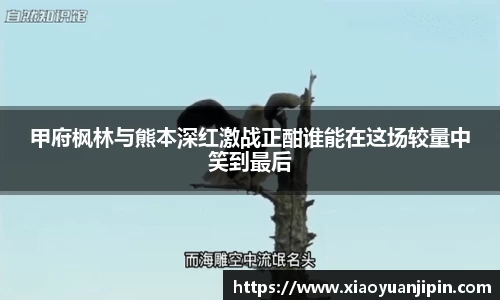 甲府枫林与熊本深红激战正酣谁能在这场较量中笑到最后