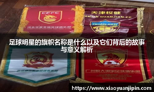 足球明星的旗帜名称是什么以及它们背后的故事与意义解析