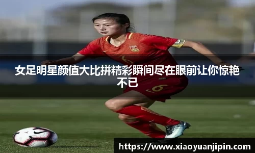 BB贝博登录入口